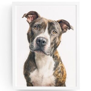 American Fawn Pit Bull Terrier Watercolor Wall Art Print Poster - Unframed